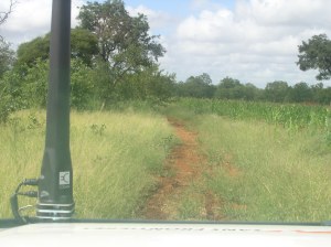 Ikke akkurat motorvei dit vi er på vei. Zimbabwe 2009. 
